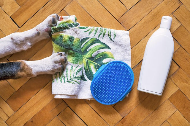 Pflege & Hygiene Hund