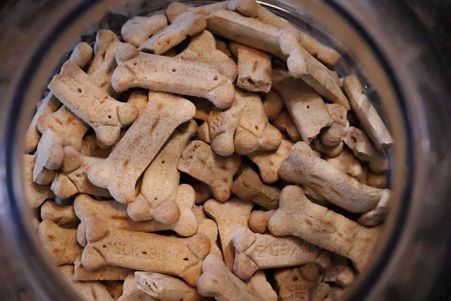Hundefutter