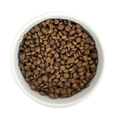 Budget Premium Qualität - Trockenfutter für Kätzchen & trächtige Katzen (1 kg)