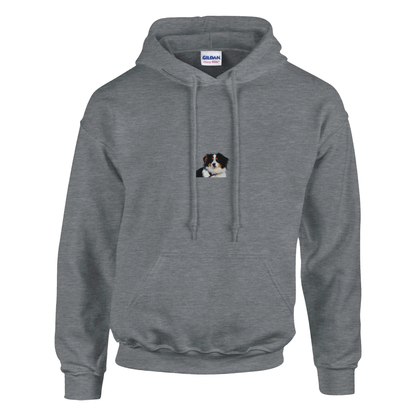 2a62f33b-2170-4c35-adfb-2255af48bcfb