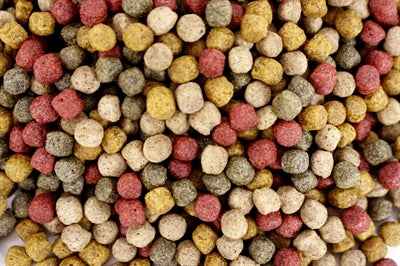 Utopia Tier Total Teich Pellet Schwimmend