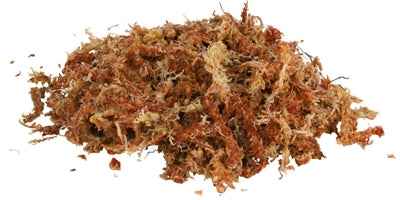 Trixie Reptiland Torfmoos Tropisches Terrariensubstrat Erweiterung