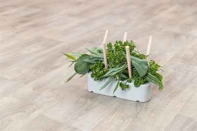 Trixie Keramik/Holz Grau