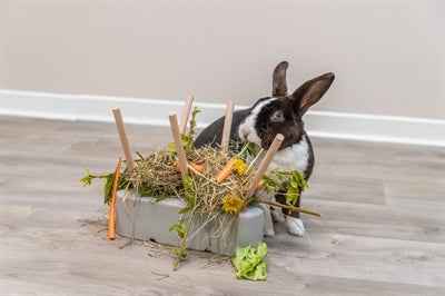 Trixie Keramik/Holz Grau