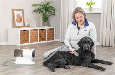 Haustier-Scherenset mit Fellextraktor – 600 W