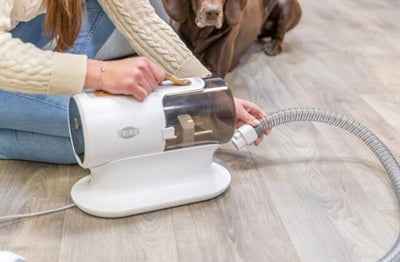 Haustier-Scherenset mit Fellextraktor – 600 W