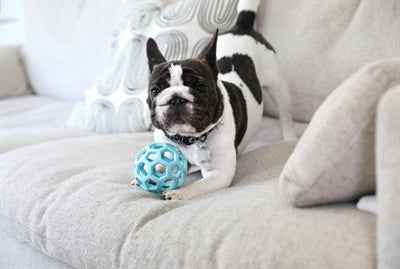 Jw Hol-Ee Walze Trend-Ee Blau