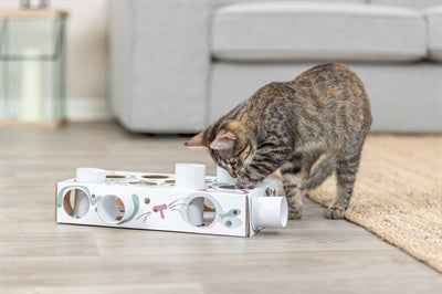 Trixie Cat Activity Paws'n'Treats Box - Katzenspielbox