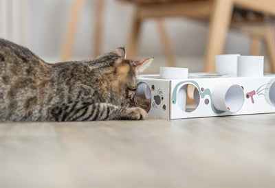 Trixie Cat Activity Paws'n'Treats Box - Katzenspielbox