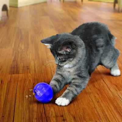 KONG Katzen-Leckerli-Spender-Ball – Interaktives Spielzeug 6,5 cm