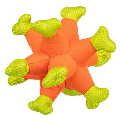 Hundewasserspielzeug Aqua Toy Sea Hedgehog