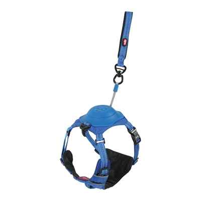 Easyride Hundegeschirr Blau mit integrierter Leine – XL (73–94 cm, 55–77 kg)