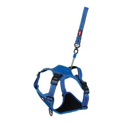 Easyride Hundegeschirr Blau mit integrierter Leine – XL (73–94 cm, 55–77 kg)