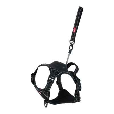 Zolux Easyride Hundegeschirr Schwarz