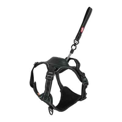 Zolux Easyride Hundegeschirr Schwarz