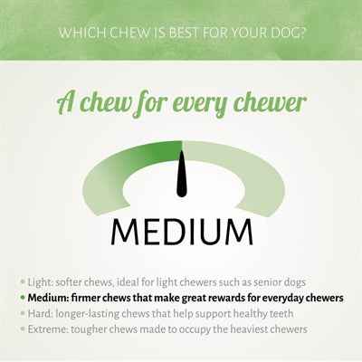 Antos Huhn D'light Munchy