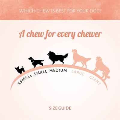 Kausnack Rawhide White Roll – 15 Stück (215 g)