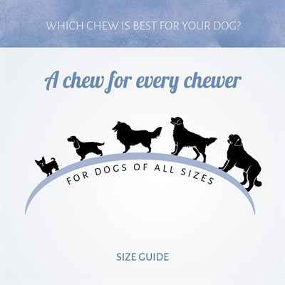 Rolls Pens Hundesnack Kutteln 200 g