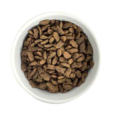 Budget Premium Quality Fish – Trockenfutter für Katzen 1 kg