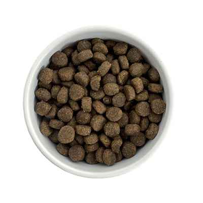 Budget Premium Fresh Lamb – weizenglutenfreies Hundefutter