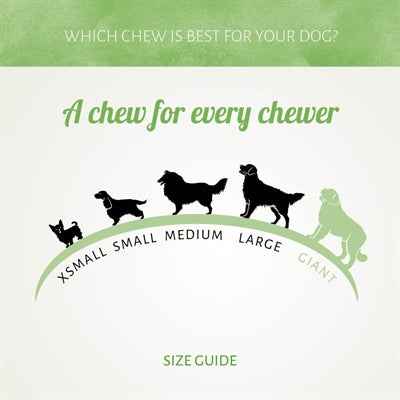 Chicken D’Light Drumsticks Kausnacks – 400 g