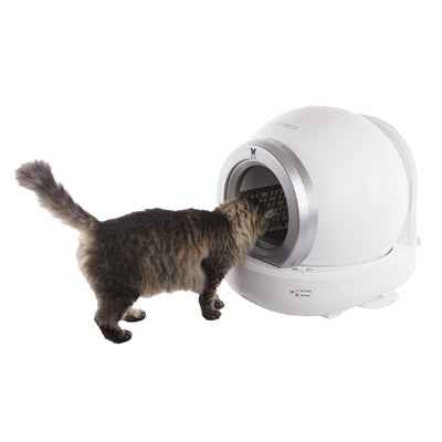 Martin Automatisches Katzenklo – Selbstreinigend & App-gesteuert 65 L