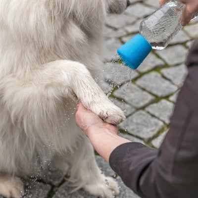 Mobile Hundedusche PET-Flaschenaufsatz Blau – 5 × 5,5 cm