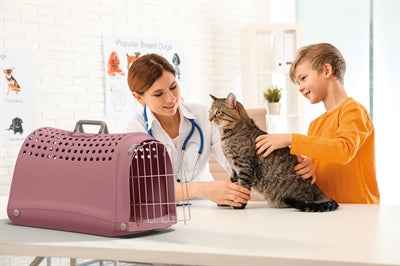 Imac Transportbox Linus Pink – Reisebox für Katzen & kleine Hunde