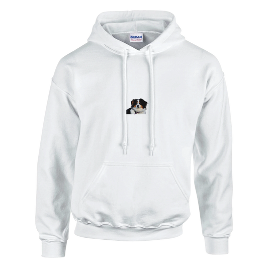 6fb92a60-8cc2-4472-8280-3d2cd87c1989